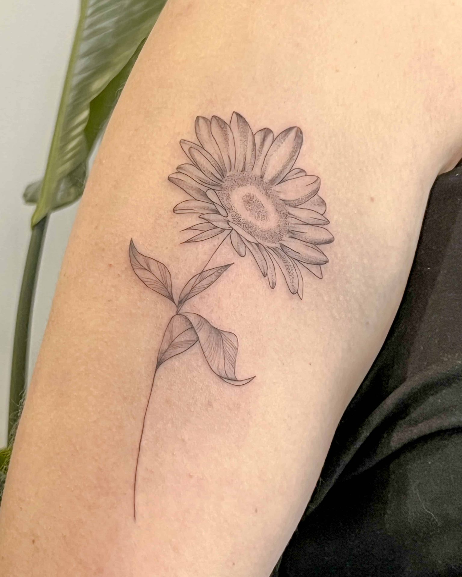 daisy tatouages minimalistes floraux